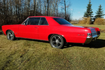 1965 PONTIAC GTO CUSTOM HARDTOP - Rear 3/4 - 244121