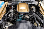 1979 PONTIAC FIREBIRD TRANS AM - Engine - 244365