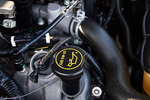 2006 FORD SHELBY GT-H MUSTANG - Misc 5 - 244794