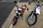 1988 HONDA ZB50 MINIBIKE - Rear 3/4 - 246815