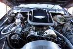 1981 PONTIAC FIREBIRD TRANS AM - Engine - 248080
