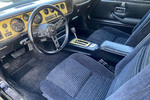 1981 PONTIAC FIREBIRD TRANS AM - Interior - 248080