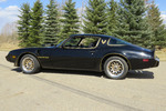 1981 PONTIAC FIREBIRD TRANS AM - Side Profile - 248080