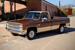 1981 CHEVROLET C20 PICKUP - Misc 13 - 249113