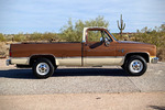 1981 CHEVROLET C20 PICKUP - Side Profile - 249113