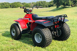 1985 HONDA TRX 125 - Rear 3/4 - 249595