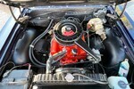 1964 CHEVROLET CHEVELLE MALIBU SS - Engine - 251429