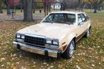 1981 AMC CONCORD STATION WAGON - Front 3/4 - 251733