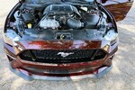 2018 FORD MUSTANG GT CUSTOM COUPE - Misc 5 - 251985