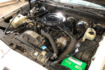 1979 OLDSMOBILE CUTLASS SUPREME - Engine - 252379