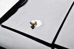 1987 BUICK GRAND NATIONAL "FAST & FURIOUS" - Misc 10 - 252452