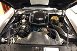 1977 PONTIAC FIREBIRD TRANS AM - Engine - 254176
