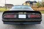 1977 PONTIAC FIREBIRD TRANS AM - Rear 3/4 - 254176