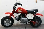 1982 HONDA Z50R MINIBIKE - Side Profile - 254917