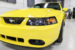 2003 FORD MUSTANG COBRA SVT COUPE - Misc 10 - 254943