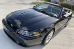 2001 FORD MUSTANG COBRA SVT CONVERTIBLE - Misc 2 - 257131