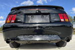 2001 FORD MUSTANG COBRA SVT CONVERTIBLE - Misc 5 - 257131