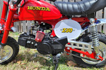 1982 HONDA Z50R MINBIKE - Engine - 257730