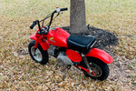 1979 HONDA Z50R MINIBIKE - Misc 2 - 258096