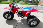 1985 HONDA ATC 200X TRIKE - Misc 3 - 258908