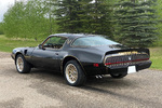 1981 PONTIAC FIREBIRD TRANS AM - Rear 3/4 - 259111