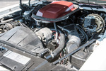 1978 PONTIAC FIREBIRD TRANS AM "MACHO T/A" - Misc 5 - 260718