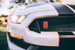 2017 FORD SHELBY GT350R - Misc 6 - 261898