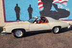 1977 PONTIAC LEMANS CAN-AM - Side Profile - 261962