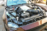 2021 SHELBY SUPER SNAKE COUNT'S KUSTOMS EDITION - Engine - 262609