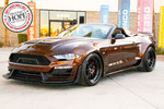2021 SHELBY SUPER SNAKE COUNT'S KUSTOMS EDITION - Front 3/4 - 262609