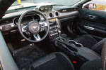 2021 SHELBY SUPER SNAKE COUNT'S KUSTOMS EDITION - Interior - 262609