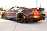 2021 SHELBY SUPER SNAKE COUNT'S KUSTOMS EDITION - Misc 3 - 262609