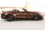 2021 SHELBY SUPER SNAKE COUNT'S KUSTOMS EDITION - Misc 4 - 262609