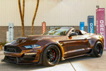 2021 SHELBY SUPER SNAKE COUNT'S KUSTOMS EDITION - Misc 2 - 262609