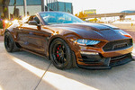 2021 SHELBY SUPER SNAKE COUNT'S KUSTOMS EDITION - Misc 5 - 262609