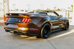 2021 SHELBY SUPER SNAKE COUNT'S KUSTOMS EDITION - Rear 3/4 - 262609