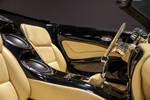 2000 PLYMOUTH PROWLER CUSTOM CONVERTIBLE - Misc 13 - 262851