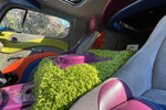 1969 CHEVROLET G10 "MYSTERY MACHINE" RE-CREATION - Misc 17 - 263726