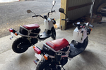 2017 HONDA RUCKUS SCOOTER - Misc 6 - 264168