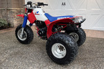 1985 HONDA 350X THREE-WHEELER - Misc 3 - 264199