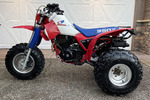 1985 HONDA 350X THREE-WHEELER - Misc 1 - 264199
