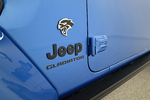 2021 JEEP GLADIATOR CUSTOM PICKUP - Misc 40 - 267397