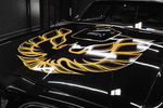 1978 PONTIAC FIREBIRD TRANS AM - Misc 28 - 274757