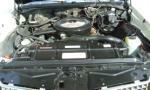 1972 OLDSMOBILE CUTLASS SUPREME CONVERTIBLE - Engine - 39854