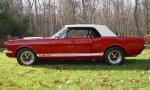 1966 SHELBY GT350 CONVERTIBLE RE-CREATION - Side Profile - 39917