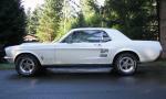 1967 FORD MUSTANG COUPE - Side Profile - 39953