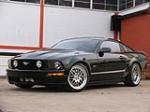 2005 FORD MUSTANG GT FASTBACK - Side Profile - 49420