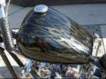 2002 GASOLINE ALLEY CUSTOM S&S SHOVELHEAD INDIAN LARRY MOTORCYCLE - Interior - 49767
