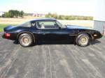 1980 PONTIAC TRANS AM TURBO SPECIAL EDITION - Side Profile - 61814