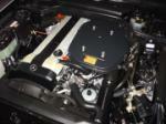 2006 SALEEN MUSTANG SC281 EXTREME SPEEDSTER - Engine - 65146